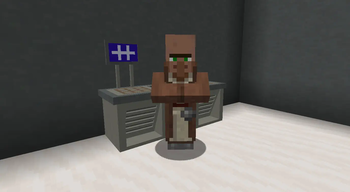 Villager Profession