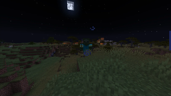 Zombie By Village