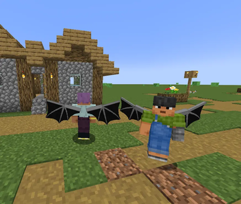 The display of the dragon wings on the front and back