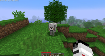 Wolf