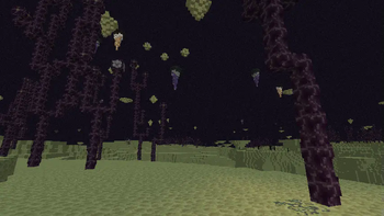 How it looks from the ground