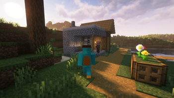 Simple Villager Follow