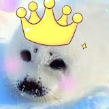 SealKingg