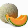 cantaloupe