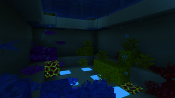 underwater aquarium