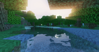 Water