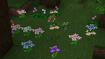 Flowers in dark forest