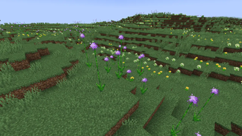 Meadow 2