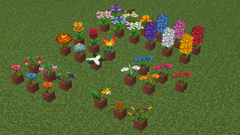 Potted flowers