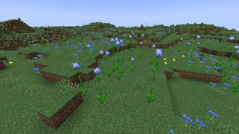 Meadow 1