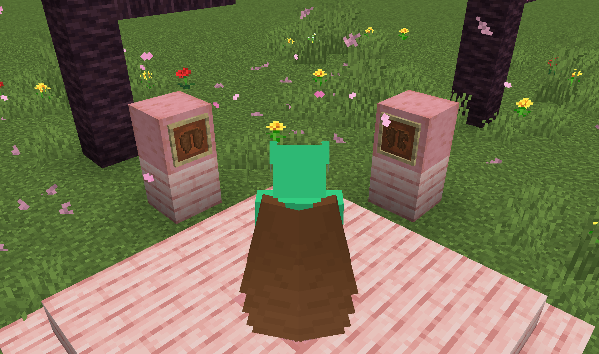 Screenshot demonstrating Resource Pack