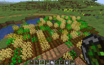 Wheat field made easy and fast with Dirt Tiller and Crop Planter