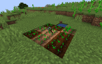 Crop Planter can plant 3x3 area around the player.