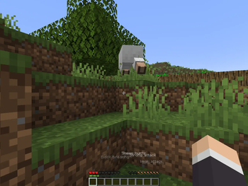 Default (look above the hotbar!)
