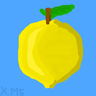 Tort_fast