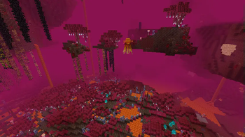 A New Nether biome