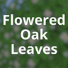 Flowered Oak Leaves