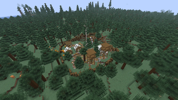 Spruce Big Camp