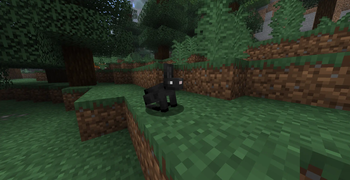 Black Rabbit