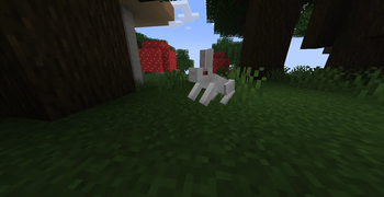 The Killer Rabbit of Caerbannog