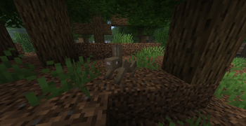 Brown Rabbit