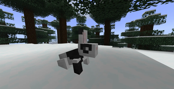Splotched Rabbit