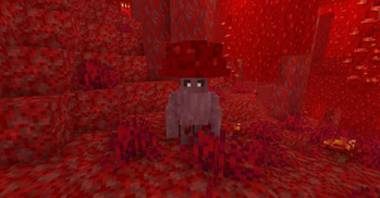 Cragshroom