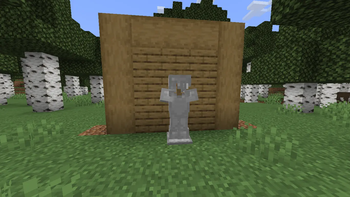 Silver Armor