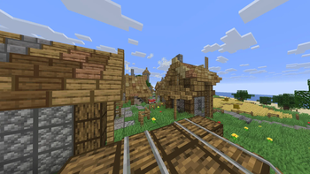 Village
