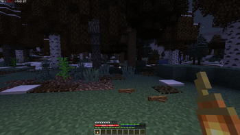 With Resource Pack Installed