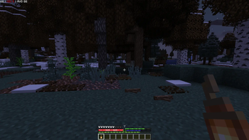 Without Resource Pack Installed