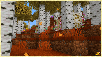 MAPLE FOREST