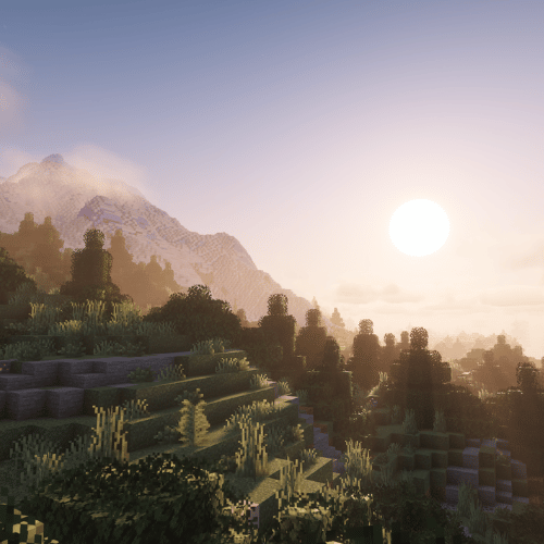 Clarity