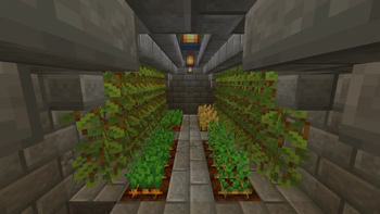 Underground Village Farm