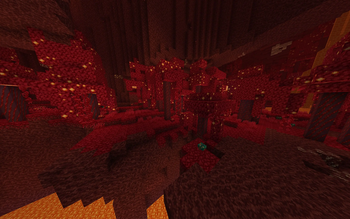 A Crimson Forest with NH