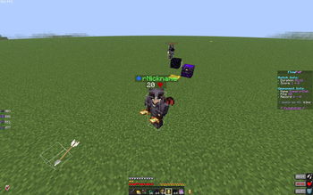 Ingame