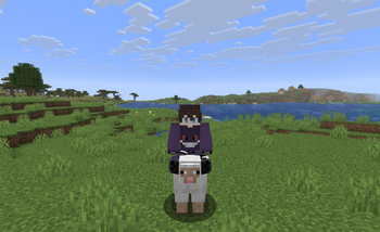 Sheep!