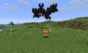 Taking a walk!