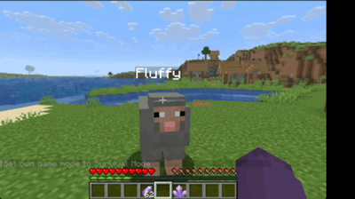 Sheep Riding!