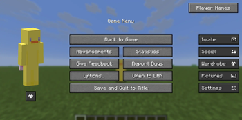 WORKS IN Single Player
