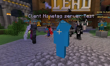 Random Guy In Hypixel I changed name.