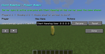 Client Nametag UI