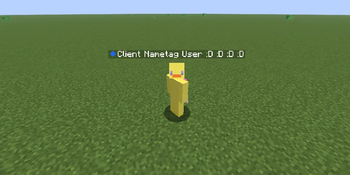 Nametag in single player world