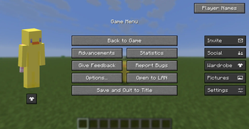 Proof it works in Single player