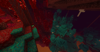 Crimson & Warped Forest | Reference