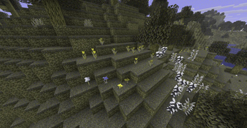 Flower Patch | Proto-Trichromacy