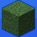 Jennie's Full Grass Block