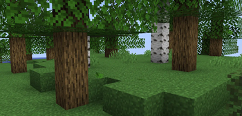 Smooth Plains View