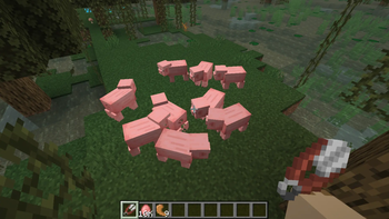 Dancing Pigs