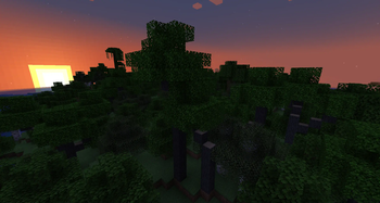 Black Ash Trees - New